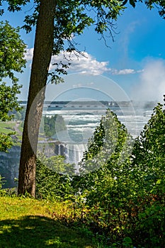 Niagara Falls, Queen Victoria Park, view of Niagara Falls through the trees, Canada. High quality photo