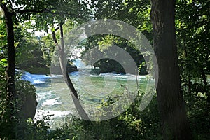 Niagara Falls State Park