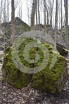 Rock Brain passage at Niagara Glen, natural rock formation