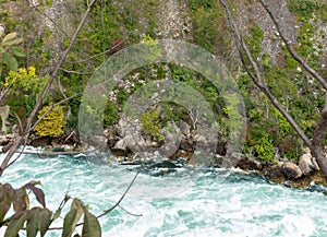 Niagara River flowing through gorge with rapids