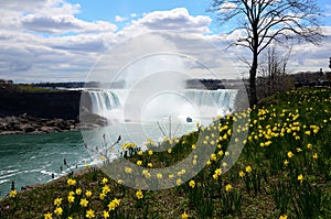 The Niagara River and horseshoe falls and wild flower