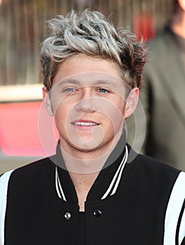 Niall Horan,One Direction