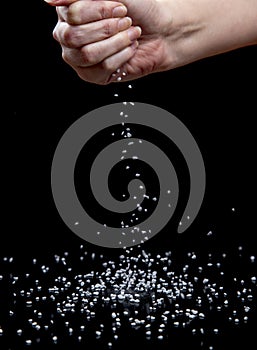 Nib Sugar Dropping from Female Hand