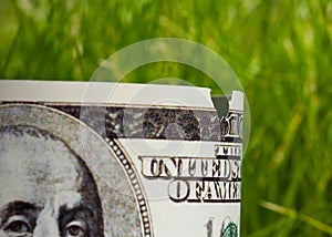 Nibbled banknote - economic recession concept