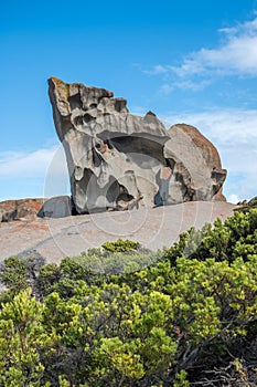 Nibbled!  Unusual erosion at Remarkable Rocks, Kangaroo Island, South Australia