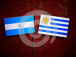 Nicaraguan flag with Uruguaian flag on a tree stump isolated