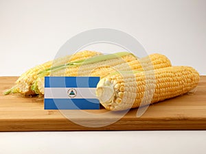 Nicaraguan flag on a wooden panel with corn isolated on a white