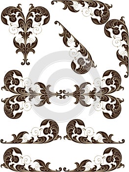 Nice acanthuce on white