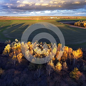 Nice aerial view of yellow tree on dramatic sunset over bog Jursky Sur, Slovakia