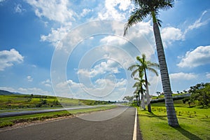 Nice asphalt road with palm trees against blue sky and cloud.