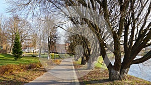 Nice autumn landscape, trees without leaves, river, railway bridges,