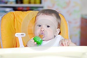Nice baby eats fruits by using nibbler photo