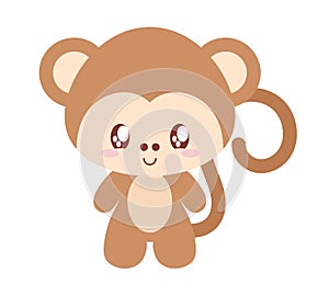 nice baby monkey