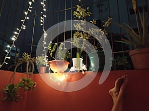 A nice balcony with plants in which to rest. Un lindo balcÃ³n con plantas en el que descansar