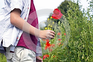 Nice blond boy with a red poppy in his hand.