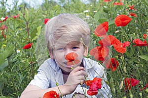 Nice blond boy with a red poppy in his hand.