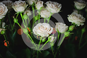 Nice bouquet on a dark background. Elegant composition of roses.