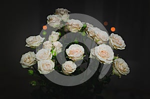 Nice bouquet on a dark background. Elegant composition of roses.