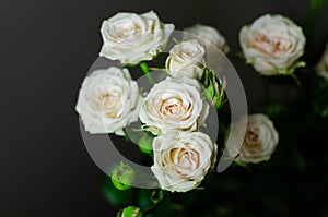 Nice bouquet on a dark background. Elegant composition of roses.