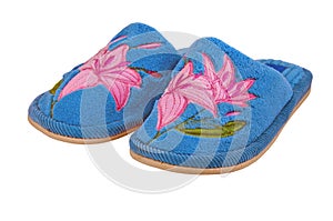 Nice bright child house slippers isolated