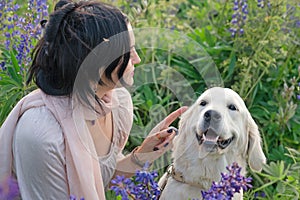 nice brunette girl posing with golden retriver at blooming Lupins meadow at country side. cloudy evening