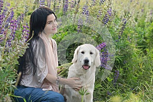 nice brunette girl posing with golden retriver at blooming Lupins meadow at country side. cloudy evening