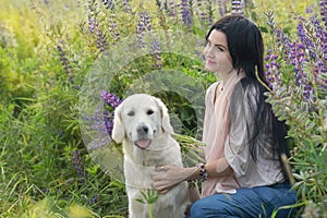 nice brunette girl posing with golden retriver at blooming Lupins meadow at country side. cloudy evening