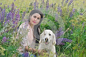 nice brunette girl posing with golden retriver at blooming Lupins meadow at country side. cloudy evening