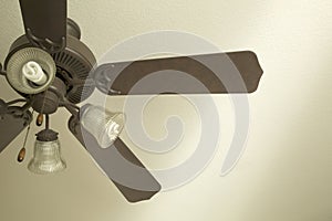 Nice ceiling fan hanging in the room