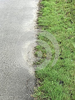 Nice closeup abstract view of old asphalt surface, road and fresh green grass