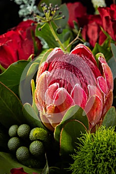 Nice closeup bouquet with giant protea
