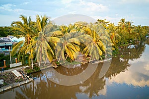 Nice coconut trees reflection against the river