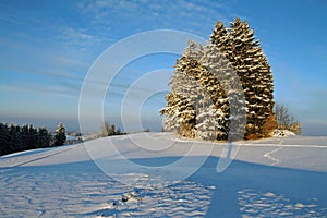 A nice cold winter's day in Bavaria