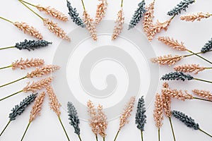 Nice composition made of beige and black wheat leaves isolated on white background