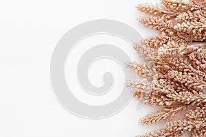 Nice composition made of wheat leaves isolated on white background