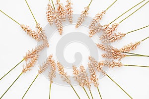 Nice composition made of wheat leaves isolated on white background