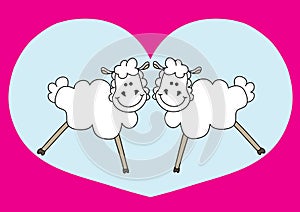 Nice couple of sheep