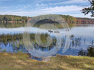 Nice day at the lake