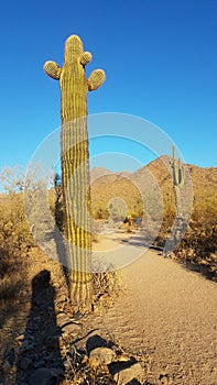 Nice day at McDowell Sonoran Preserve, AZ