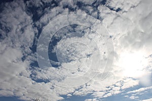 Nice day nature light sun