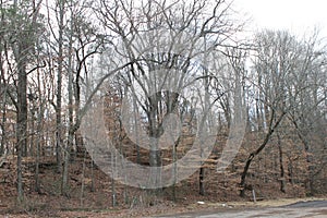 Autumn day at the park