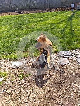 Nice days on a warm spring day