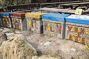 Nice decorated bee hives