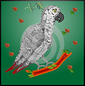 That is the nice design of African gray parrot