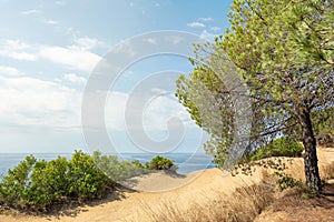 Nice dirt road next to the Mediterranean sea