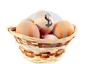 Nice eggs in basket with dollar sign
