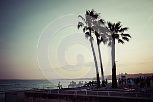 Nice in the evening after sunset. French Riviera. Provence-Alpes-Cote d`Azur, France