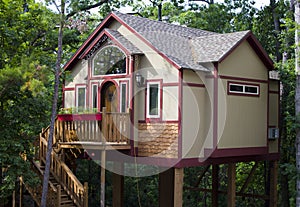 Vacation Tree House for Rent photo