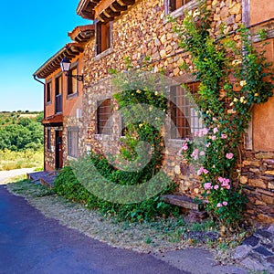 Nice facade of stone houses with colorful plants and flowers at the entrance. Europe photo