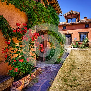 Nice facade of stone houses with colorful plants and flowers at the entrance. Europe photo